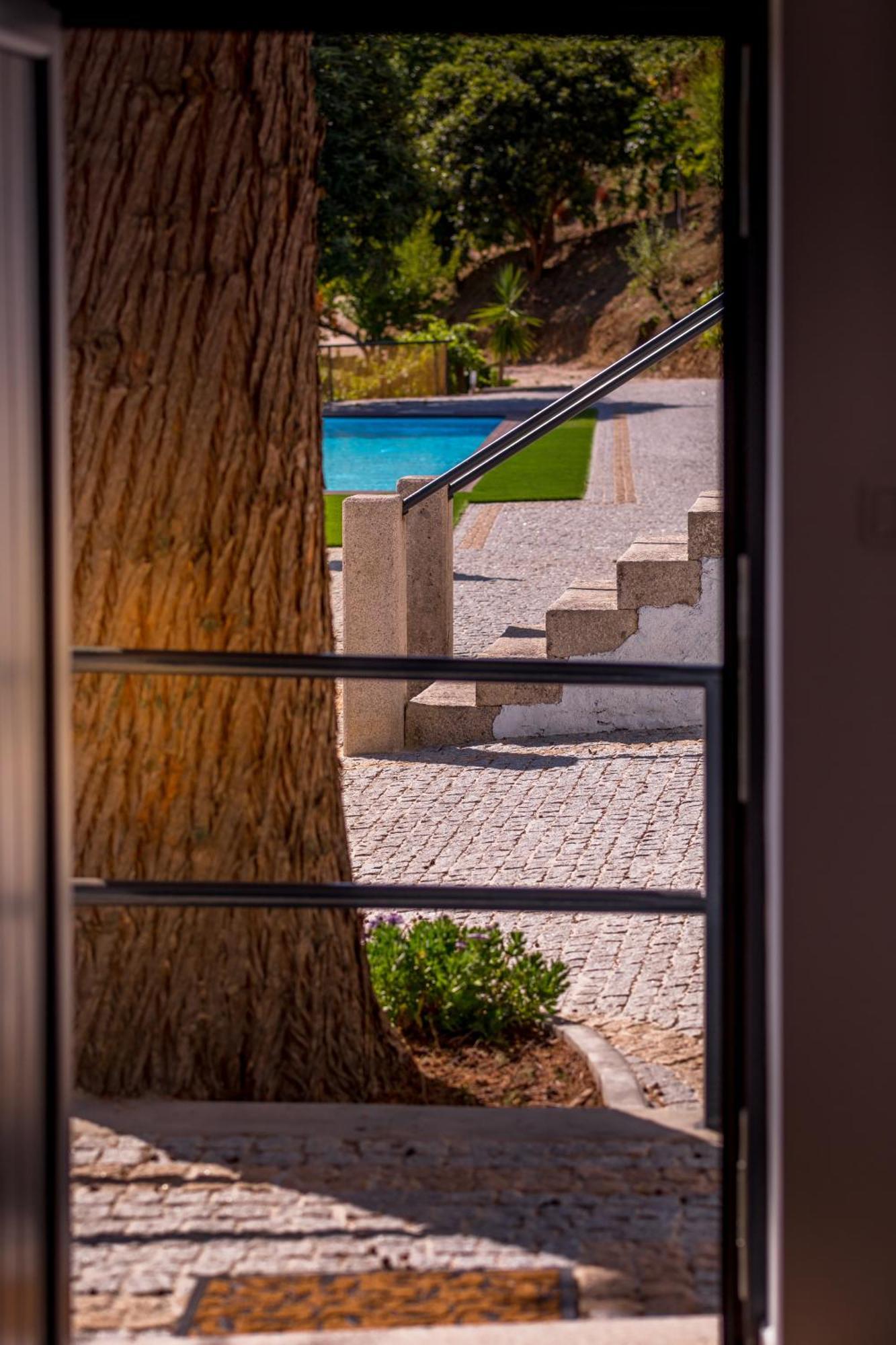 Quinta Da Portela Douro Армамар Экстерьер фото